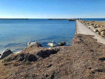 Ferieudlejning til 6 Personer i Karrebæksminde, Enø, Billede 3