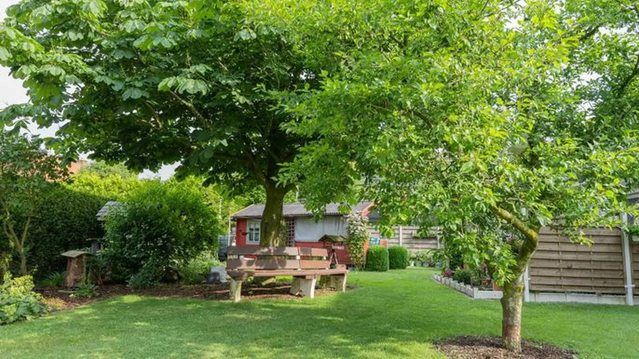 Ganze Ferienwohnung, Ferienwohnung für 4 Personen (90 m²) in Hesel in Hesel, Ostfriesland