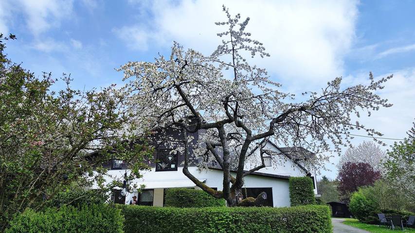 Ferienwohnung für 5 Personen, mit Pool und Garten in Hallenberg