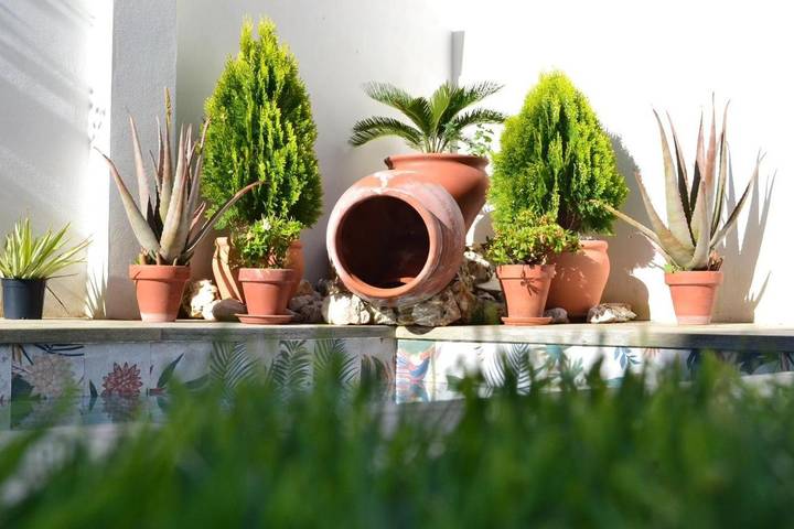Casa rural para 2 personas, con Jacuzzi y Terraza además de Jardín y Piscina en Provincia de Badajoz