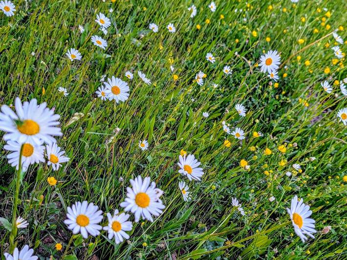 Bauernhof für 5 Personen, mit Garten, kinderfreundlich in der Fränkische Schweiz - 4