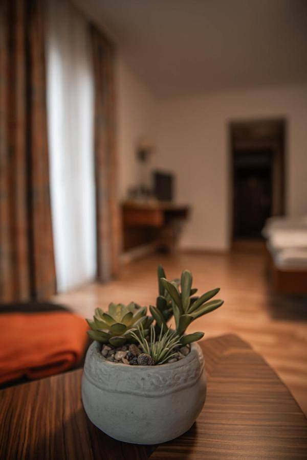 Gîte pour 3 personnes, avec jardin et balcon à Haßloch - 2