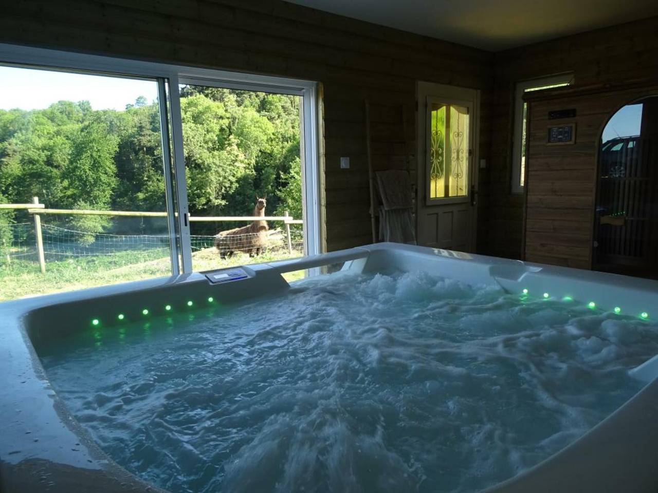 Cozy cottage with spa and sauna, pets allowed, foto 10