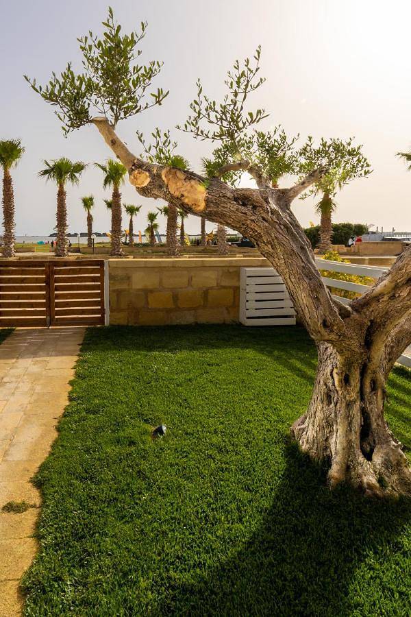 Maison d’hôte pour 3 personnes, avec vue et jardin, adapté aux familles à Marsala - 2