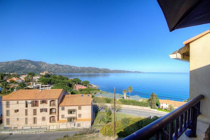 Le Joseph-Louis in Saint-Florent, Calvi region