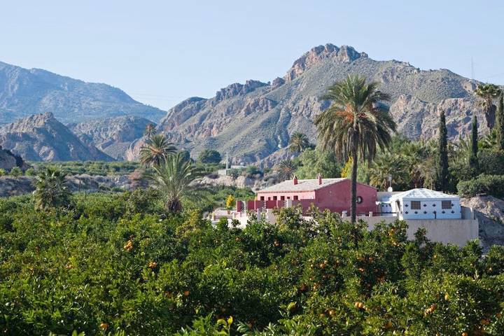 Gîte pour 4 personnes, avec jardin ainsi que piscine et vue à Archena - 3