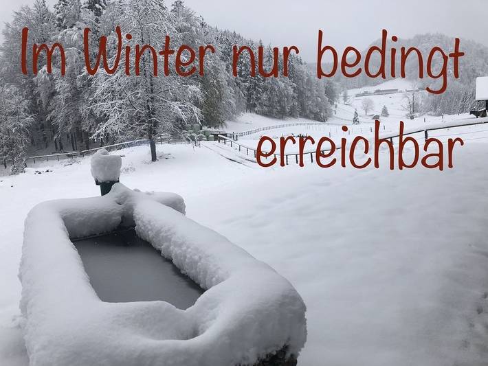 Ferienhaus für 6 Personen, mit Garten und Whirlpool, mit Haustier im Salzkammergut - 4