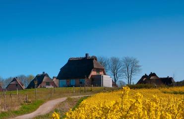 Ferienhaus für 5 Personen, mit Sauna und Garten sowie Seeblick und Ausblick in Nieby