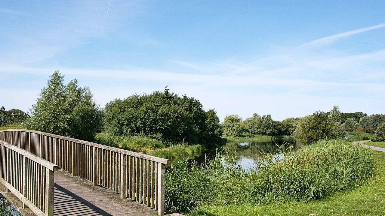 Ferienhaus für 12 Personen (155 m²) in Otterndorf in Otterndorf, Cuxland