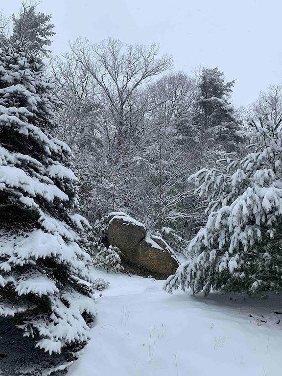 O'Connors Retreat - Blowing Rock, Hot tub Secluded acreage, fabulous views in Blue Ridge Parkway, Caldwell County