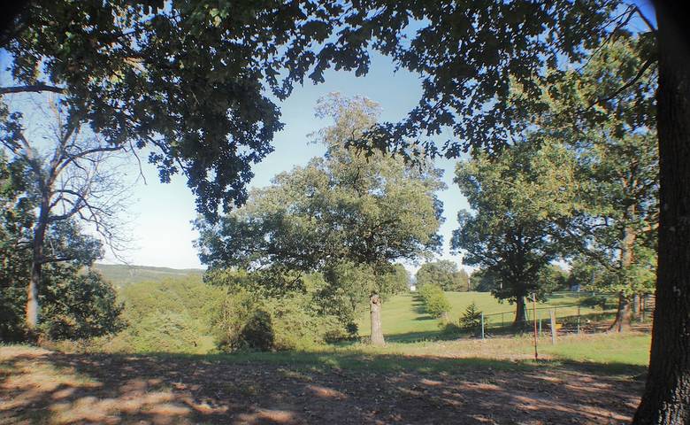 Vacation house for 6 people, with yard and terrace in Arkansas