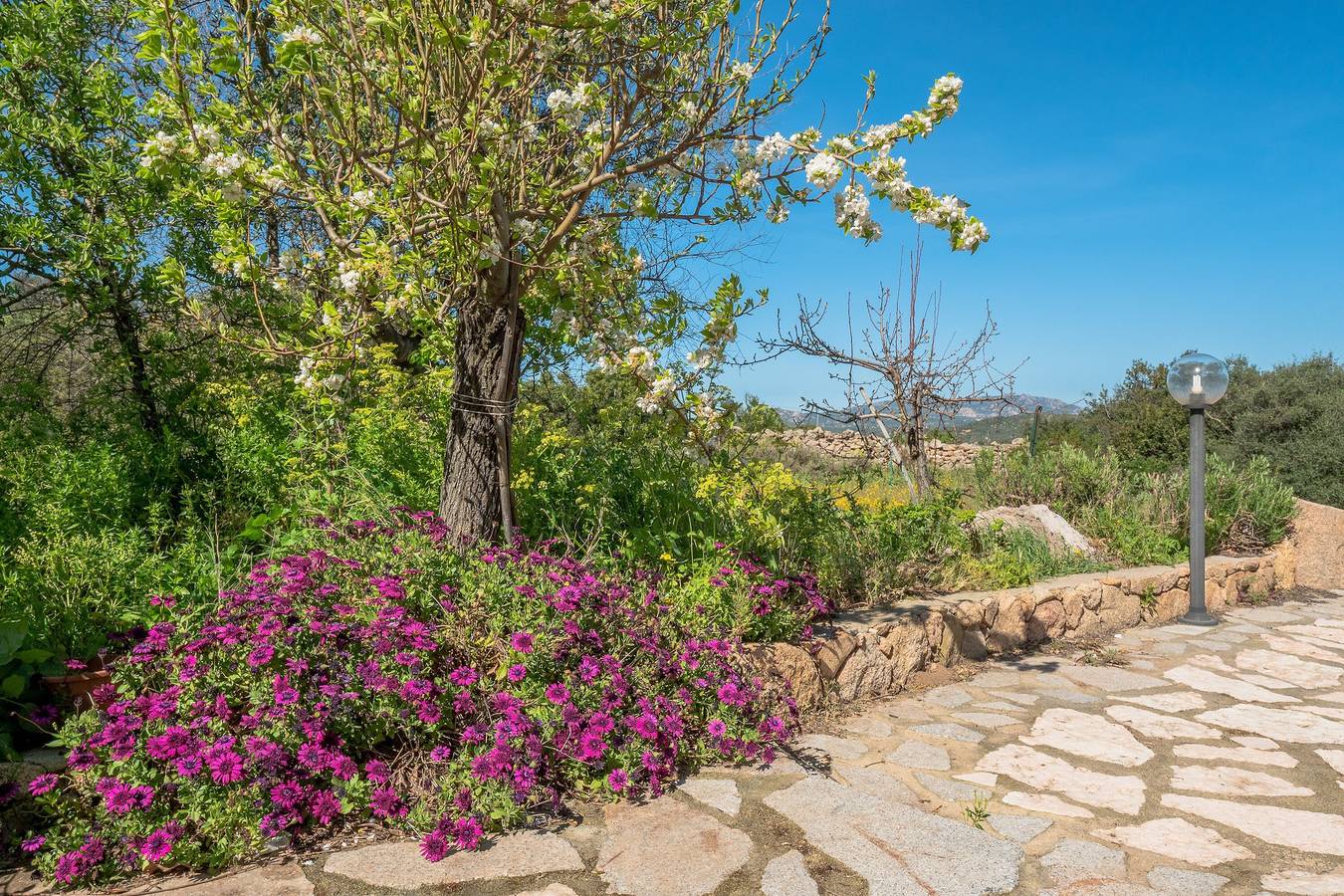 Appartamento intero, Appartamento "2 in Villa in Campagna" con vista sulle montagne e piscina in comune in Olbia, Gallura
