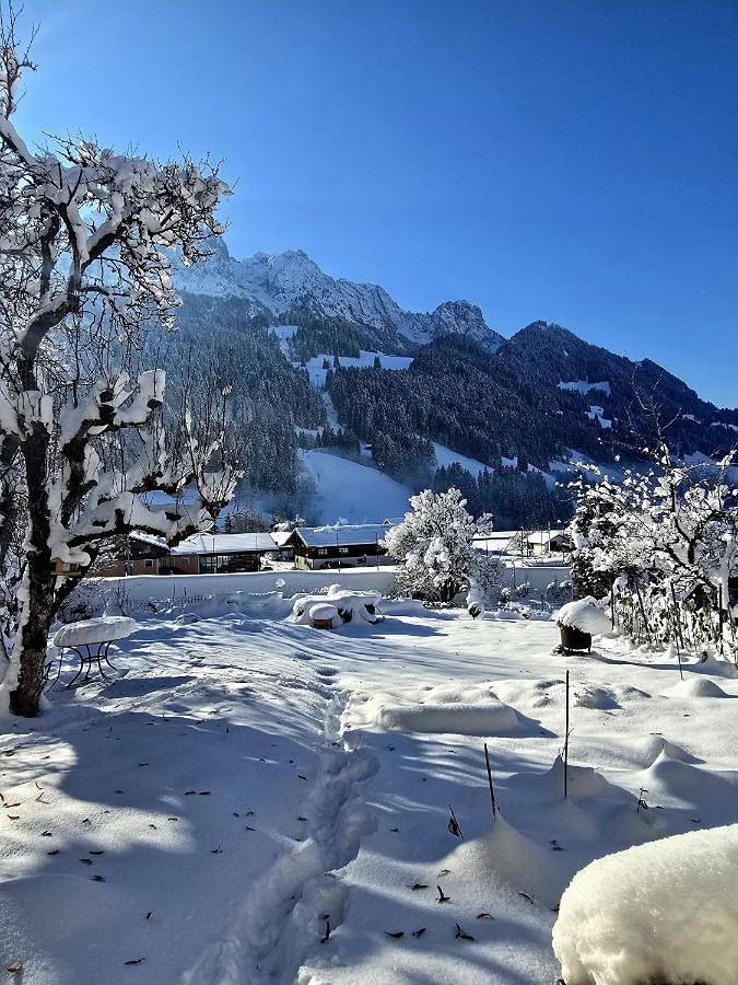 Appartement de vacances pour 5 personnes, avec jardin et vue, animaux acceptés