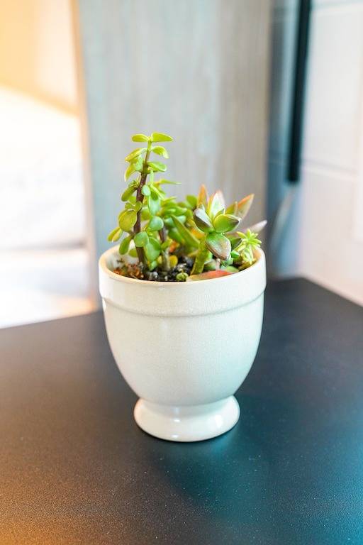 Vacation rental for 6 people in Seagrove Beach