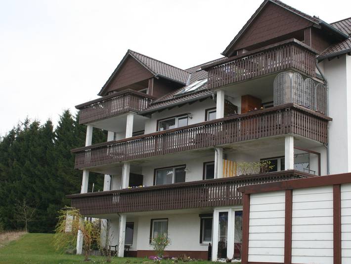 Ferienwohnung für 4 Personen, mit Balkon in Hohegeiß - 3