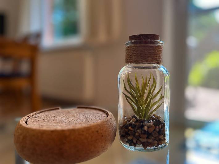 Ferienhaus für 4 Personen, mit Terrasse, mit Haustier in Boltenhagen - 3