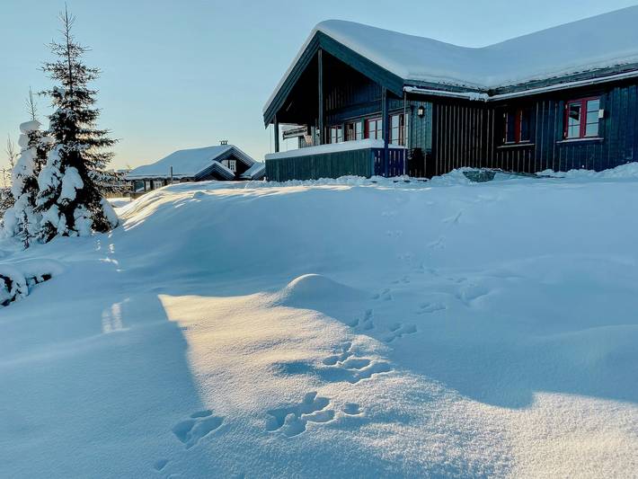 Ferienhaus für 7 Personen, mit Sauna und Terrasse, mit Haustier in Ost-Norwegen