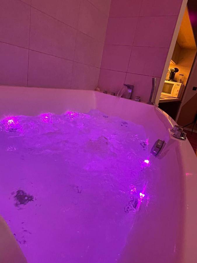 Gîte pour 2 personnes, avec jacuzzi, animaux acceptés à Tournon-sur-Rhône - 2