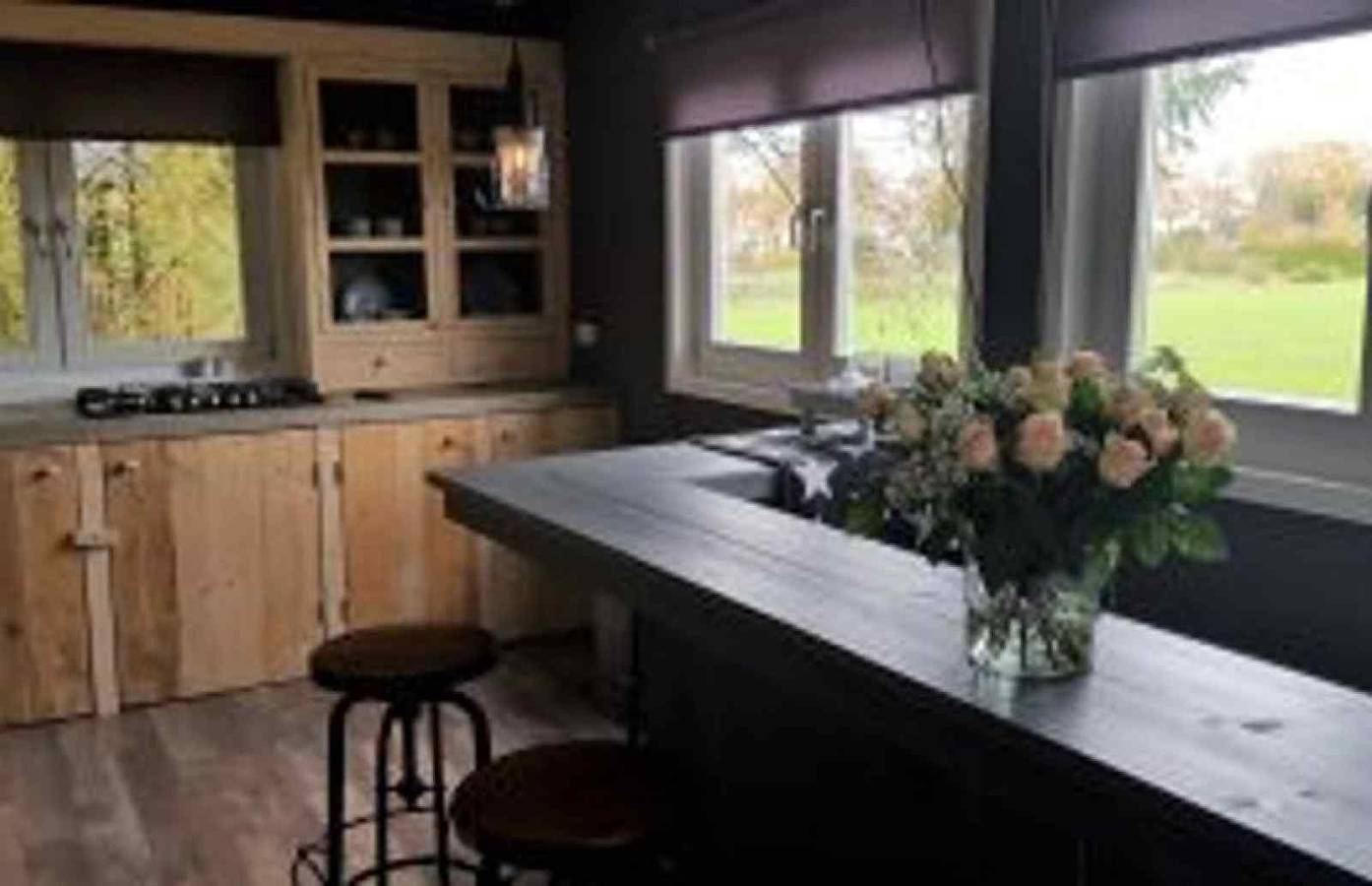 Prachtig 4 persoons vakantiehuis tussen de bomen met weids uitzicht in Erica, Drenthe in Drenthe