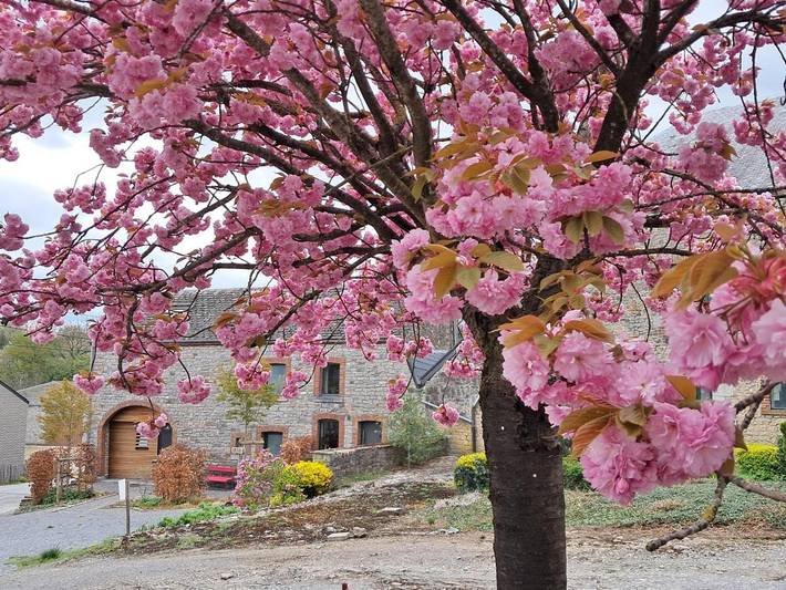 Location de vacances pour 5 personnes, avec vue et terrasse à Hotton - 3