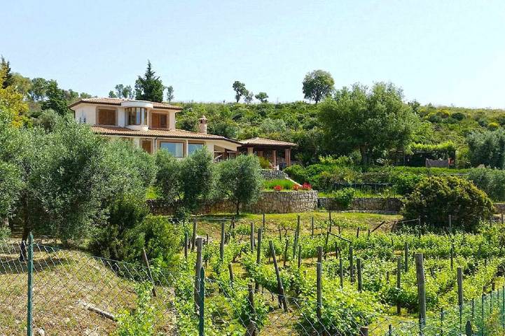 Holiday home for 12 people, with pool and garden as well as terrace - 1