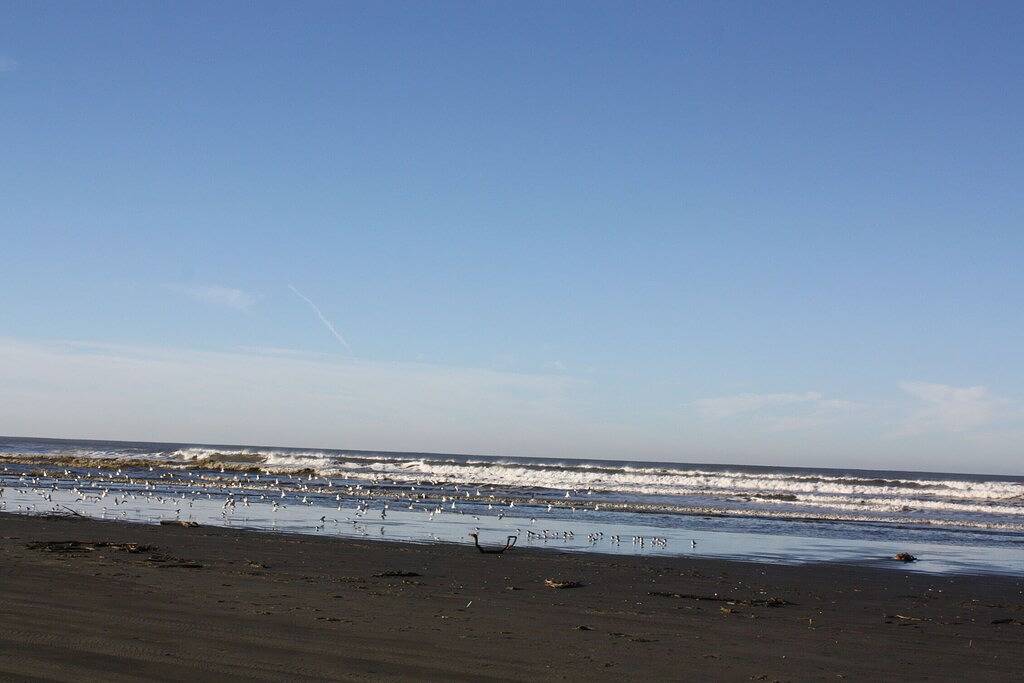 Ganze Wohnung, Oyhut Bay * Brand New 2Br / 2Ba + Höhle ** Free Wifi ** Große Küche ** Gas-Kamin in Ocean Shores, Grays Harbor County