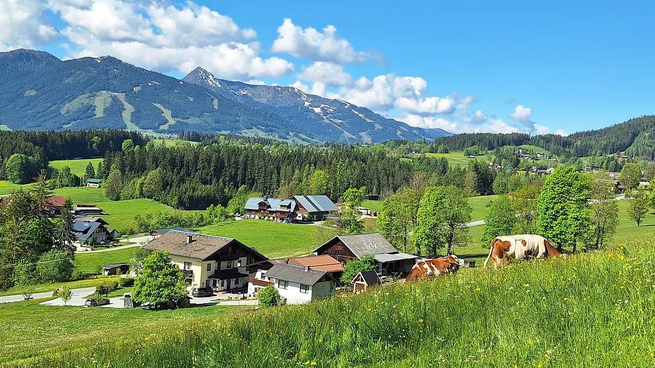 Ganze Ferienwohnung, Ferienwohnung für 4 Personen (36 m²) in Ramsau am Dachstein in Ramsau am Dachstein, Schladming-Dachstein