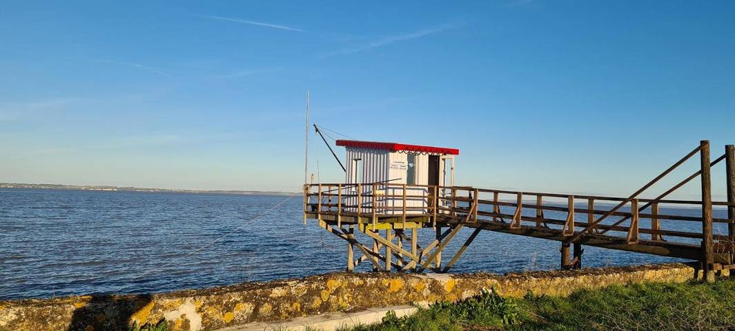 Location de vacances pour 8 personnes, avec jardin ainsi que vue et piscine, animaux acceptés à Jau-Dignac-et-Loirac - 2