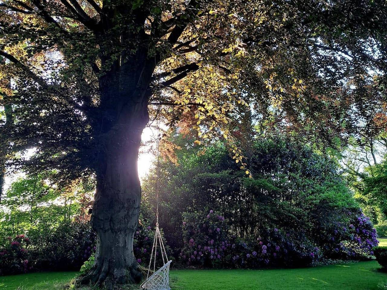 Ganze Ferienwohnung, Ferienwohnung Rotbuche - Appartement/Fewo, Dusche und Bad, Wc, 2 Schlafräum in Rastede, Ammerland