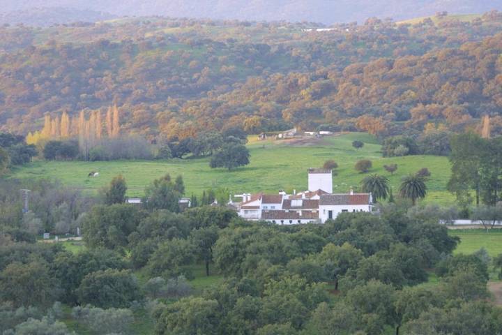Casa rural con piscina para 2 personas, con jardín además de vistas y piscina, Se admiten mascotas en Provincia de Sevilla - 4