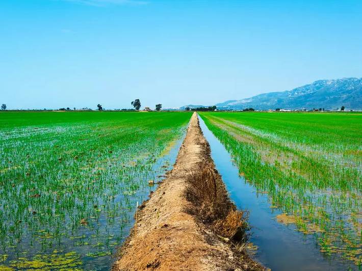 Ferienhaus für 6 Personen, mit Terrasse und Pool in Riumar - 3