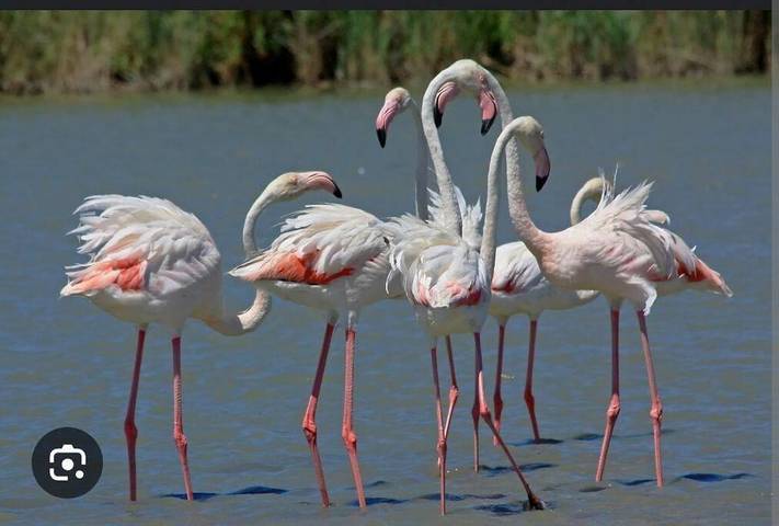 Bateau pour 3 personnes, avec vue et terrasse dans le Gard - 4