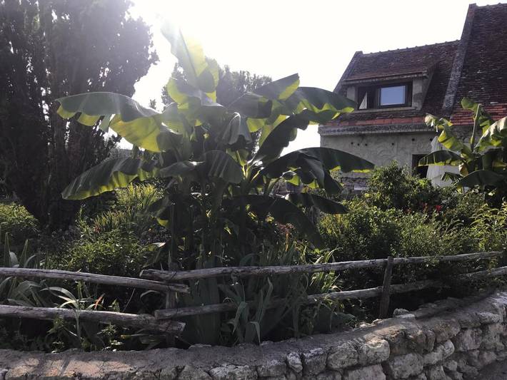 Location de vacances pour 4 personnes, avec vue ainsi que bassin pour enfant et jardin à Choussy - 4