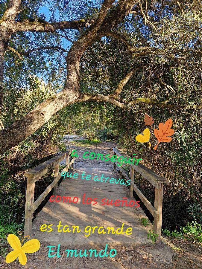 Ganze Wohnung, El Rinconcito Mágico in El Bosque, Pueblos Blancos