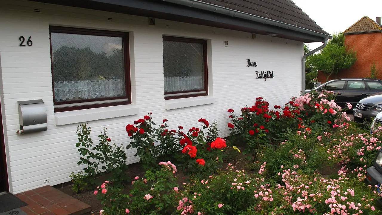 Ganze Ferienwohnung, Ferienwohnung für 2 Personen (25 m²) in Dagebüll in Dagebüll, Nordfriesland