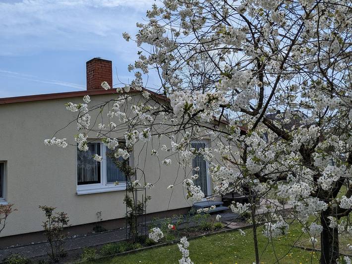 Ferienwohnung für 5 Personen, mit Garten und Terrasse in Barth - 3