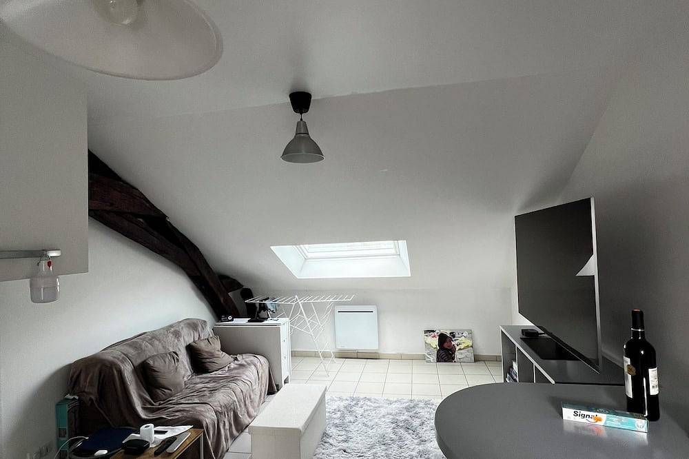 Appartement entier, Apparemment dans le centre in Saumur, Vallée de la Loire