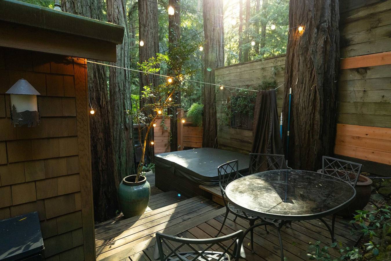 Redwood tree retreat in Mill Valley in Mill Valley, Mount Tamalpais