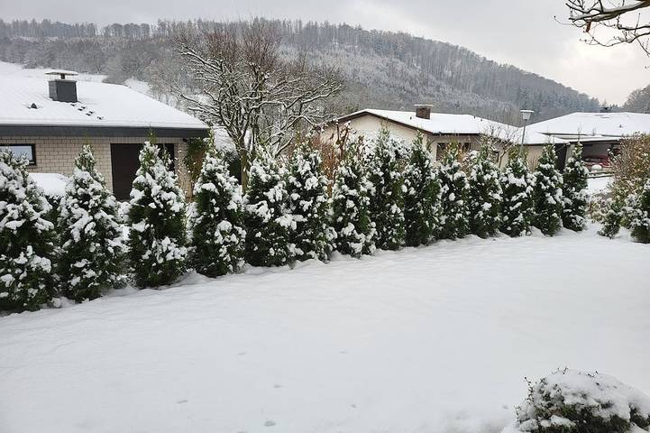 Ferienwohnung für 4 Personen, mit Garten und Balkon, mit Haustier in Bodenwerder