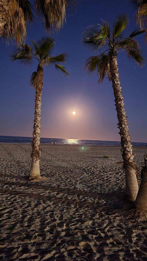 Apartamento para 4 personas, con piscina y terraza en Canet de Berenguer