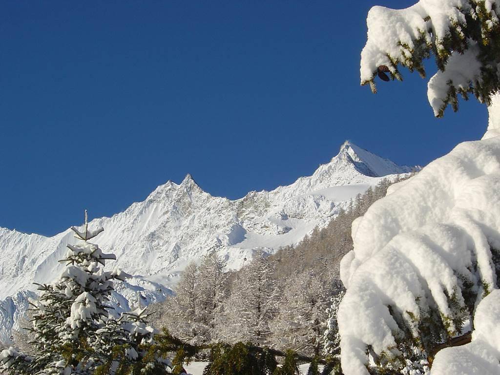 Appartement de vacances entier, Appartement à 9 lits in Saas-Fee, Alpes valaisannes