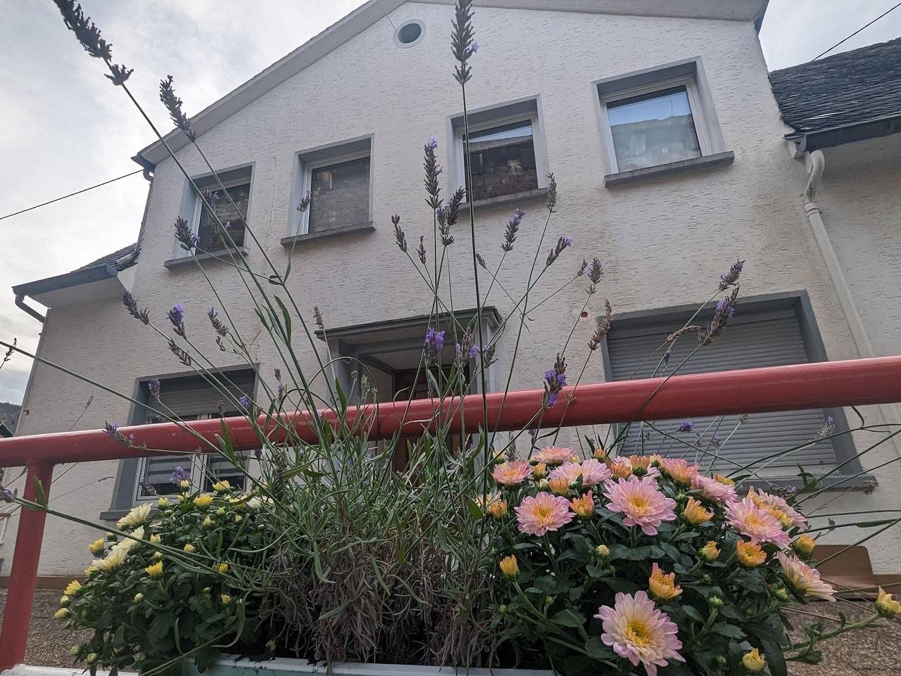 Ferienhaus für 8 Personen in Bruttig-Fankel, Moseleifel