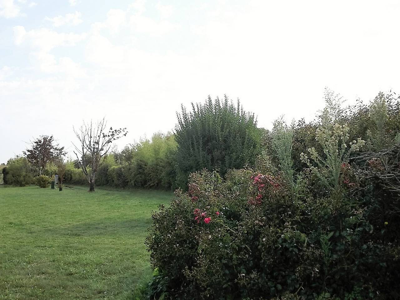 Maison individ. au calme, 1,5 km plage, grd terrain arboré, proche commerces, 1 ch., Tv câble, animaux ok. in La Tranche-sur-Mer, Vendée