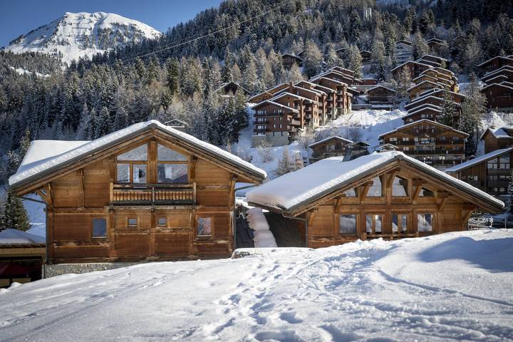 Chalet voor 15 personen, met balkon/terras - 1