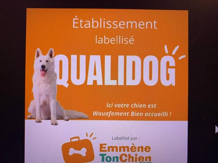 Gîte pour 6 personnes, avec jardin à Haguenau - 2