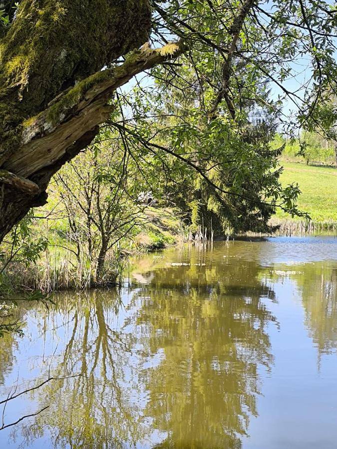 Ferienhaus für 14 Personen, mit Ausblick und Garten in Buntenbock - 4