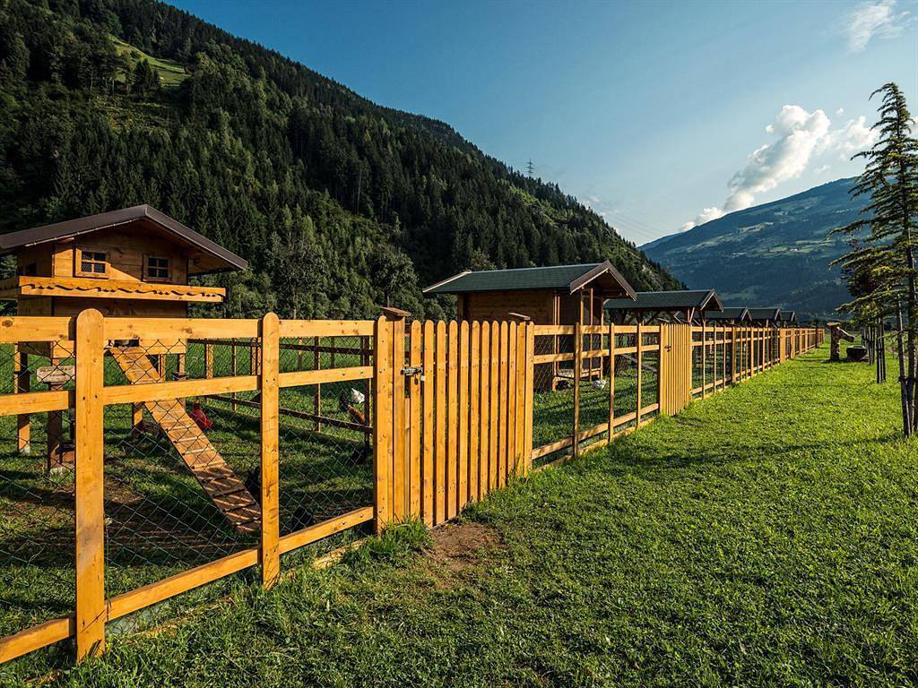 Ganze Ferienwohnung, Apart Tristner | 4-8 Personen | 1.Stock in Zell am Ziller, Bezirk Schwaz