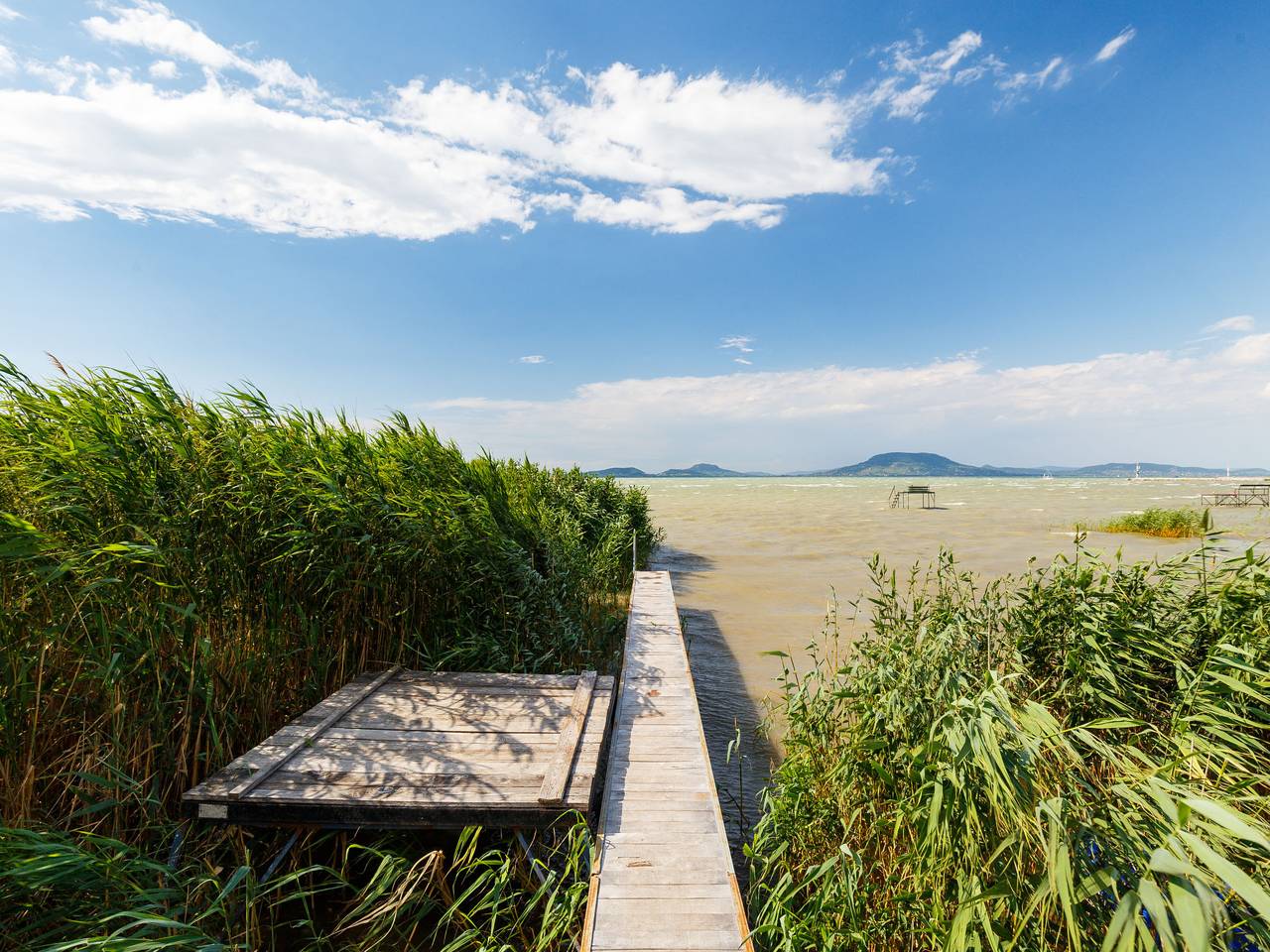 Merlin in Balatonfenyves, Plattensee Südufer