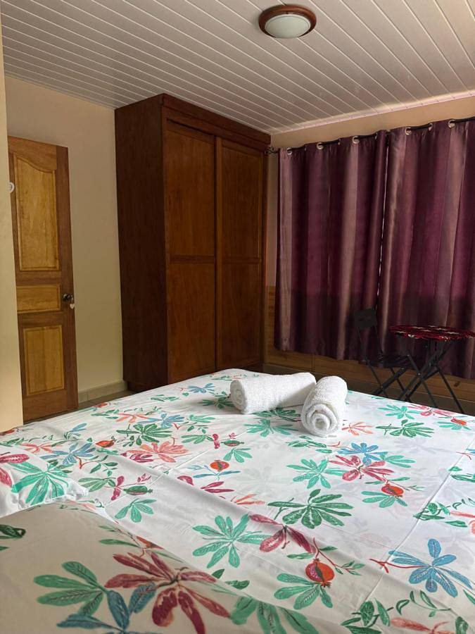 Gîte pour 2 personnes, avec jardin ainsi que vue et piscine dans Mataiea - 2