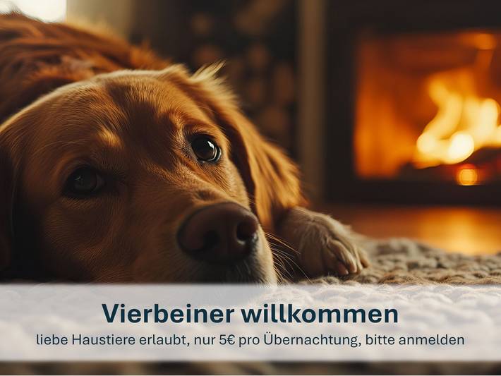 Ferienpark für 7 Personen, mit Garten und Sauna sowie Terrasse, mit Haustier in Butjadingen - 2